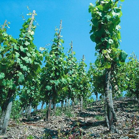 Weinhotel Hubertus Garni Klotten Buitenkant foto