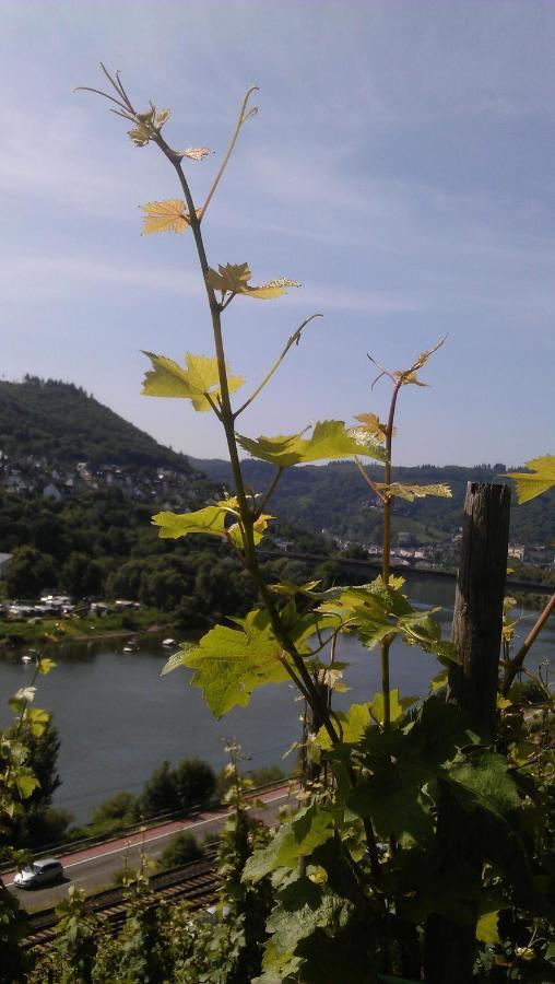 Weinhotel Hubertus Garni Klotten Buitenkant foto